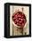 Cranberries in Paper Bag (Overhead View)-Marc O^ Finley-Framed Premier Image Canvas