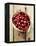 Cranberries in Paper Bag (Overhead View)-Marc O^ Finley-Framed Premier Image Canvas