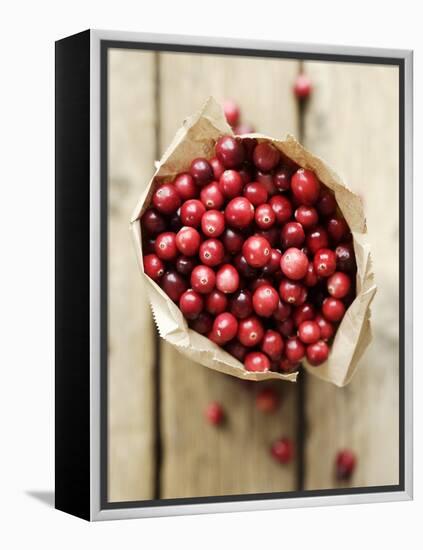 Cranberries in Paper Bag (Overhead View)-Marc O^ Finley-Framed Premier Image Canvas
