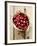 Cranberries in Paper Bag (Overhead View)-Marc O^ Finley-Framed Photographic Print