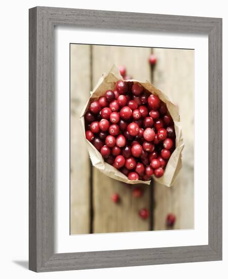 Cranberries in Paper Bag (Overhead View)-Marc O^ Finley-Framed Photographic Print