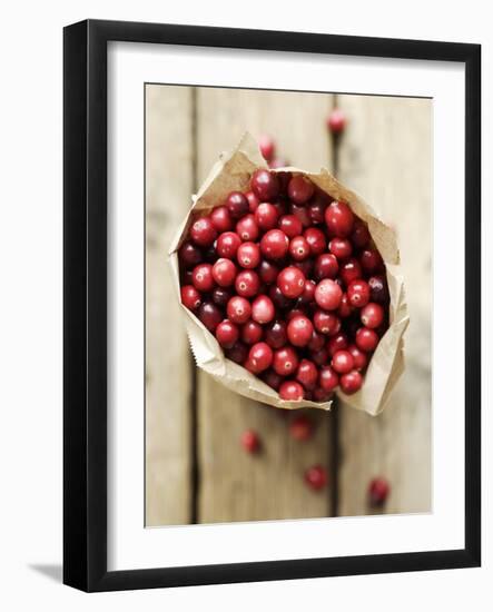 Cranberries in Paper Bag (Overhead View)-Marc O^ Finley-Framed Photographic Print