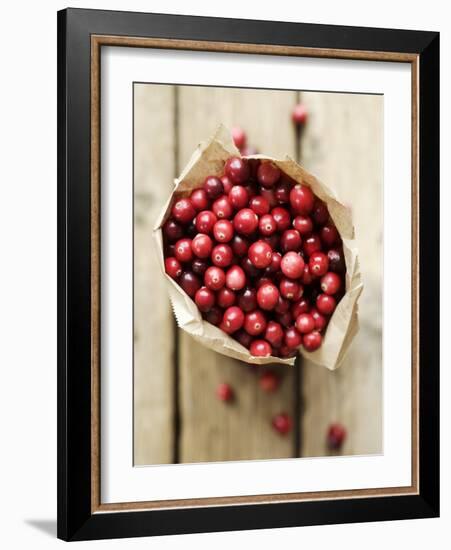 Cranberries in Paper Bag (Overhead View)-Marc O^ Finley-Framed Photographic Print