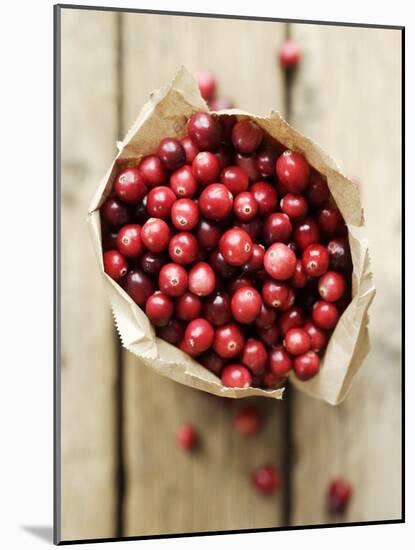 Cranberries in Paper Bag (Overhead View)-Marc O^ Finley-Mounted Photographic Print