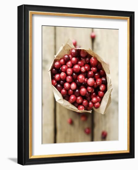 Cranberries in Paper Bag (Overhead View)-Marc O^ Finley-Framed Photographic Print