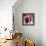 Cranberries-David Munns-Framed Premier Image Canvas displayed on a wall