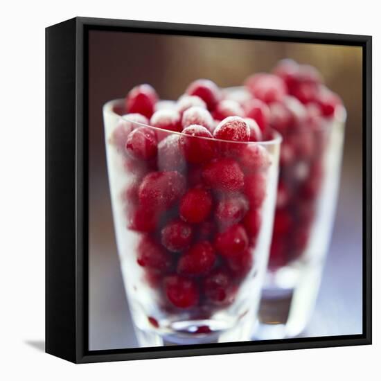 Cranberries-David Munns-Framed Premier Image Canvas