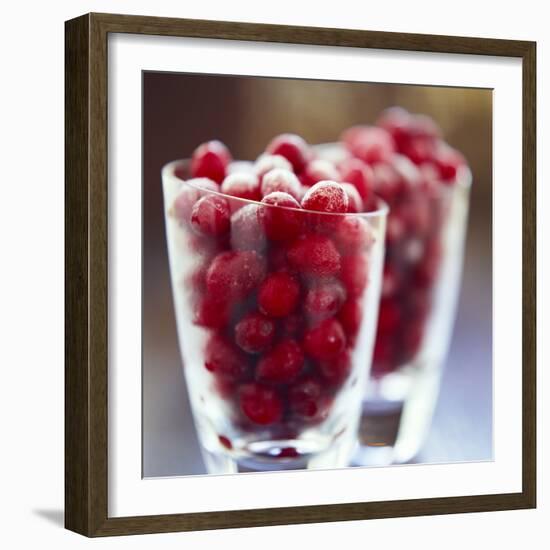Cranberries-David Munns-Framed Premium Photographic Print