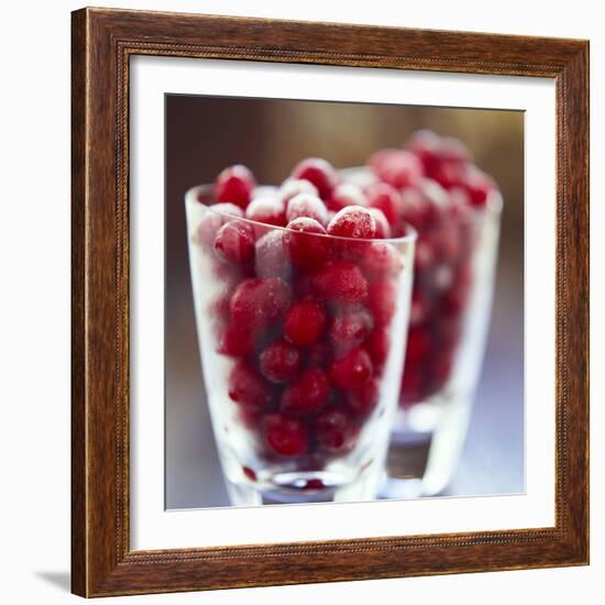 Cranberries-David Munns-Framed Premium Photographic Print