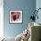 Cranberries-David Munns-Framed Premium Photographic Print displayed on a wall