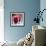 Cranberries-David Munns-Framed Premium Photographic Print displayed on a wall