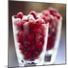 Cranberries-David Munns-Mounted Premium Photographic Print