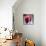 Cranberries-David Munns-Mounted Premium Photographic Print displayed on a wall