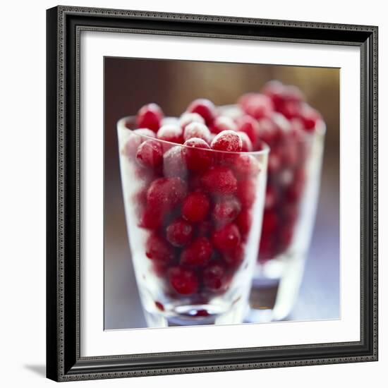 Cranberries-David Munns-Framed Premium Photographic Print