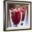 Cranberries-David Munns-Framed Premium Photographic Print