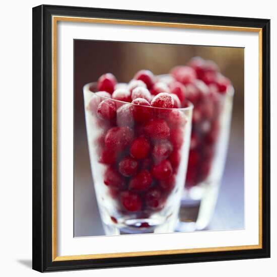 Cranberries-David Munns-Framed Premium Photographic Print