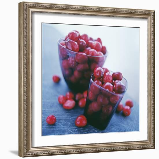 Cranberries-David Munns-Framed Premium Photographic Print