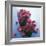 Cranberries-David Munns-Framed Premium Photographic Print