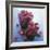 Cranberries-David Munns-Framed Premium Photographic Print