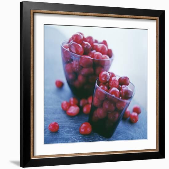 Cranberries-David Munns-Framed Premium Photographic Print