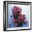 Cranberries-David Munns-Framed Premium Photographic Print