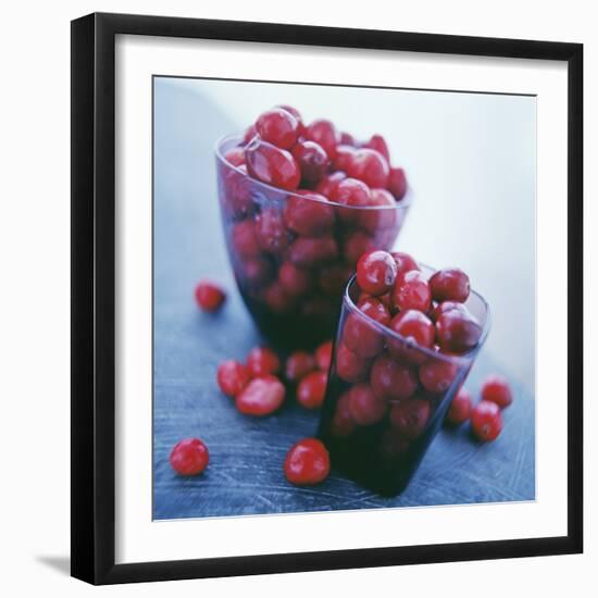 Cranberries-David Munns-Framed Premium Photographic Print