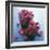 Cranberries-David Munns-Framed Premium Photographic Print