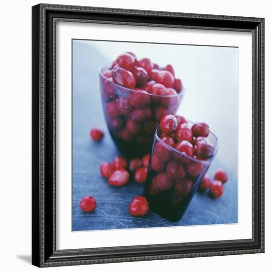 Cranberries-David Munns-Framed Premium Photographic Print