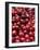 Cranberries-Jon Stokes-Framed Photographic Print