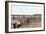 Cranberry Bog Pickers at Work on Cape Cod, Massachusetts, c.1890-null-Framed Giclee Print