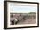 Cranberry Bog Pickers at Work on Cape Cod, Massachusetts, c.1890-null-Framed Giclee Print