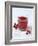 Cranberry Juice-Veronique Leplat-Framed Photographic Print