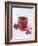 Cranberry Juice-Veronique Leplat-Framed Photographic Print