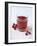 Cranberry Juice-Veronique Leplat-Framed Photographic Print