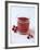 Cranberry Juice-Veronique Leplat-Framed Photographic Print