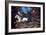 Crane And Horseman-William John Wilgus-Framed Giclee Print