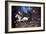 Crane And Horseman-William John Wilgus-Framed Giclee Print