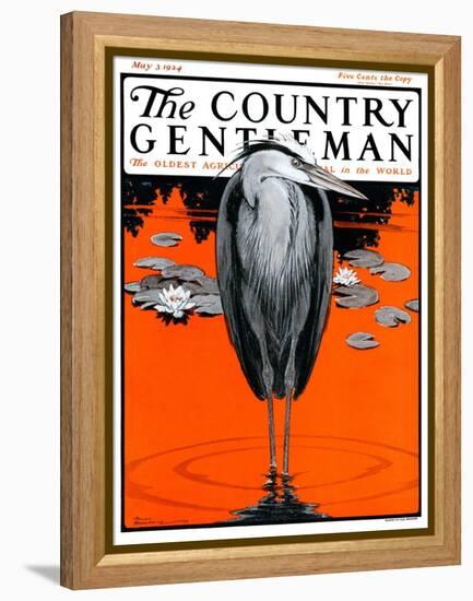 "Crane and Lilly Pads," Country Gentleman Cover, May 3, 1924-Paul Bransom-Framed Premier Image Canvas