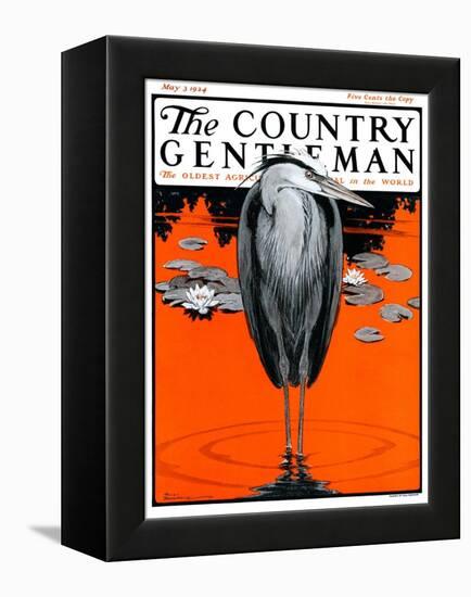 "Crane and Lilly Pads," Country Gentleman Cover, May 3, 1924-Paul Bransom-Framed Premier Image Canvas