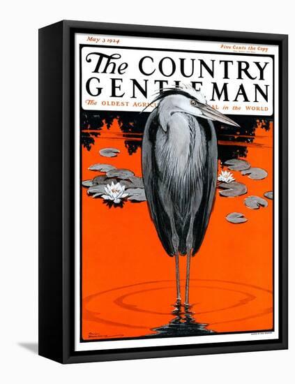 "Crane and Lilly Pads," Country Gentleman Cover, May 3, 1924-Paul Bransom-Framed Premier Image Canvas