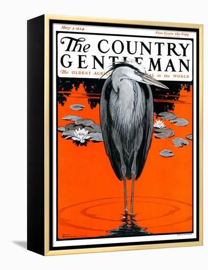 "Crane and Lilly Pads," Country Gentleman Cover, May 3, 1924-Paul Bransom-Framed Premier Image Canvas