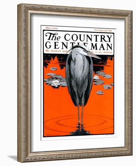 "Crane and Lilly Pads," Country Gentleman Cover, May 3, 1924-Paul Bransom-Framed Giclee Print