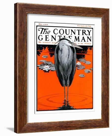 "Crane and Lilly Pads," Country Gentleman Cover, May 3, 1924-Paul Bransom-Framed Giclee Print