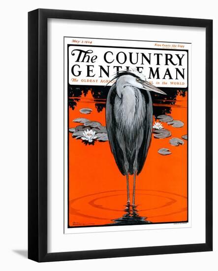 "Crane and Lilly Pads," Country Gentleman Cover, May 3, 1924-Paul Bransom-Framed Giclee Print