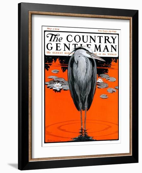 "Crane and Lilly Pads," Country Gentleman Cover, May 3, 1924-Paul Bransom-Framed Giclee Print