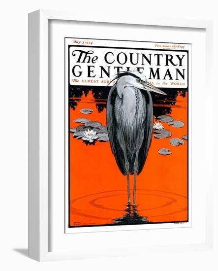 "Crane and Lilly Pads," Country Gentleman Cover, May 3, 1924-Paul Bransom-Framed Giclee Print