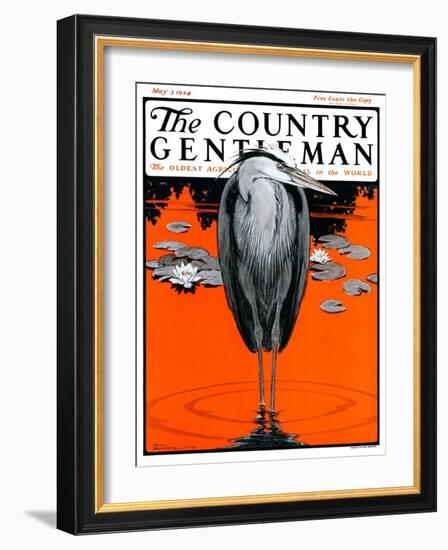 "Crane and Lilly Pads," Country Gentleman Cover, May 3, 1924-Paul Bransom-Framed Giclee Print