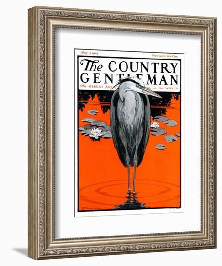 "Crane and Lilly Pads," Country Gentleman Cover, May 3, 1924-Paul Bransom-Framed Giclee Print