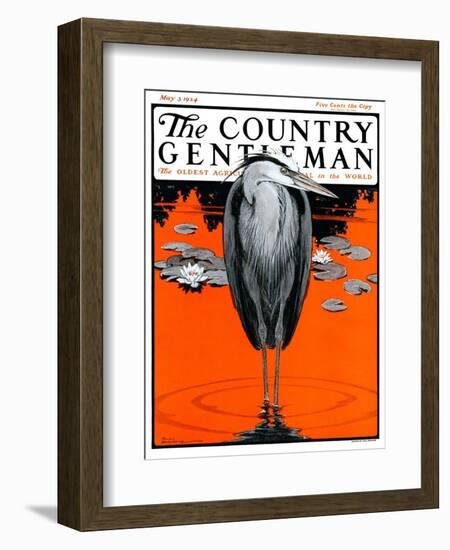 "Crane and Lilly Pads," Country Gentleman Cover, May 3, 1924-Paul Bransom-Framed Giclee Print