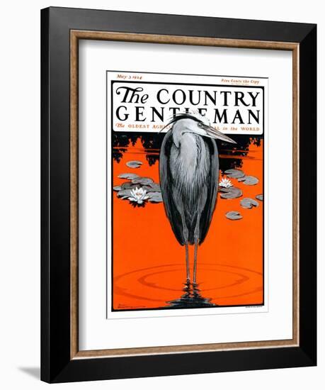 "Crane and Lilly Pads," Country Gentleman Cover, May 3, 1924-Paul Bransom-Framed Giclee Print